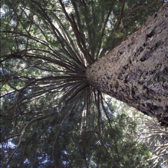 Meet your Posher, Melissa - Picture 5 of 7